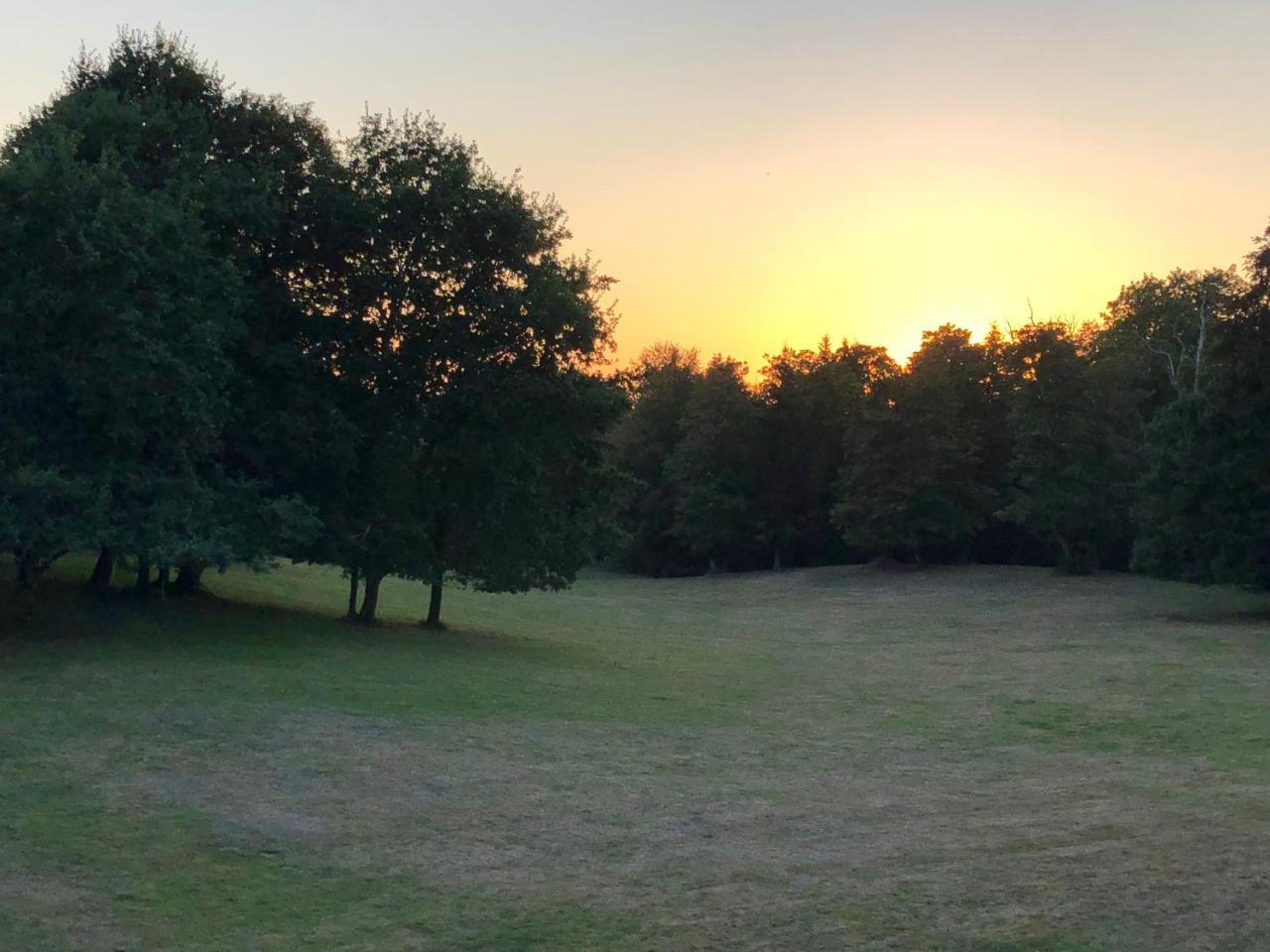 Chateau De Lannouan Landévant Dış mekan fotoğraf